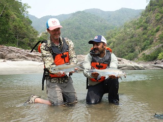 chocolate-mahseer