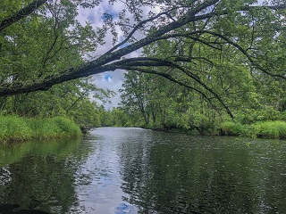 Warmwater-Fly-Fishing