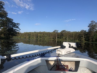 fly-fishing