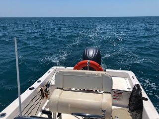 marlin-on-fly