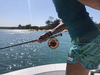 Clouser-minnow