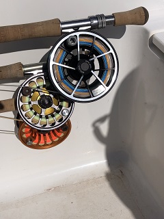 Bauer-Reels