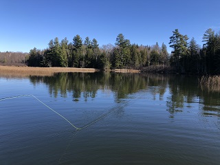 Wisconsin