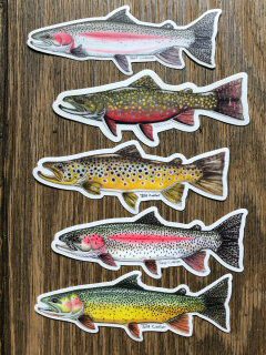 fish-decals