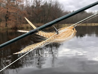 November has Become a Fly Fishing Month