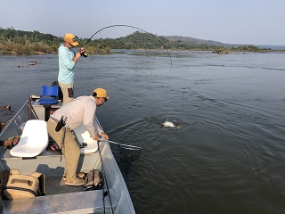 fly-fishing-payara