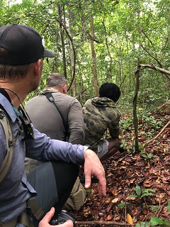 flyfishing-Gabon