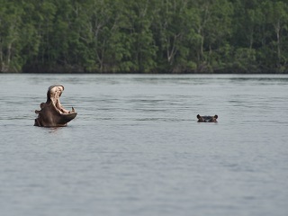 fly-fishing-Gabon