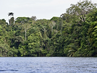 fly-fishing-Gabon