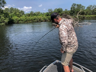 fly-fishing-for-snapper