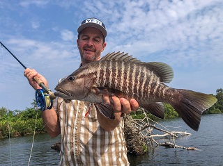 snapper-on-fly-Jeff-Currier