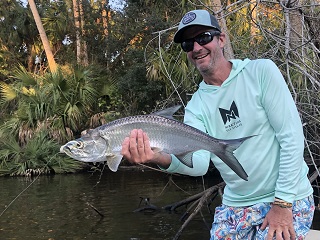 tarpon