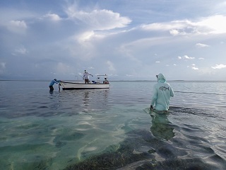 giant-trevally-on-fly