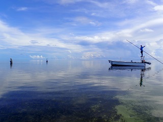 fly-fishing-Seychelles
