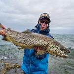 huge-brown-trout