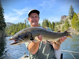 bull-trout-Currier