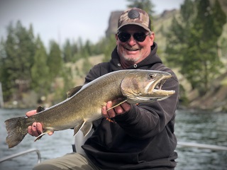 bull-trout-Scott-Robertson