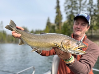 bull-trout-Currier