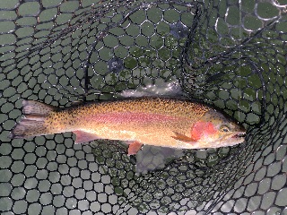 Justesen-Ranch-lakes