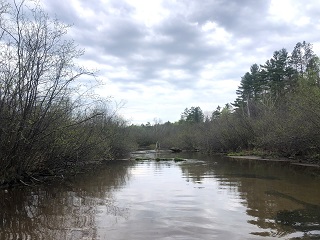 trout-fishing