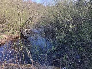 WI-trout-fishing