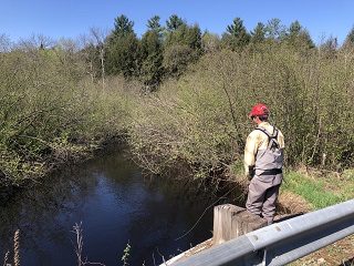 trout-fishing