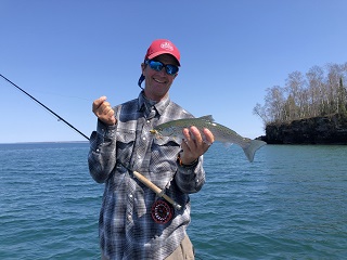 brown-trout