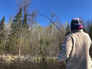Winston-fly-rods