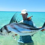 roosterfish-Currier