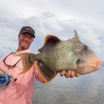 triggerfish-currier