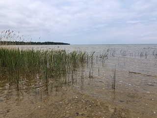 fly-fishing