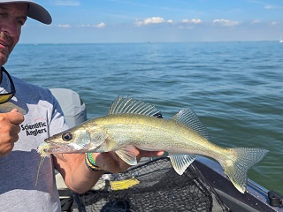 walleye