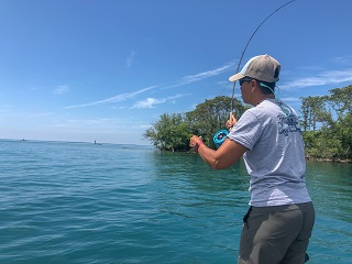 Lake-St.-Clair