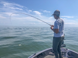 white-bass-flyfishing