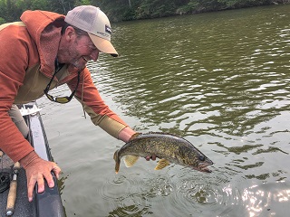 catch-and-release