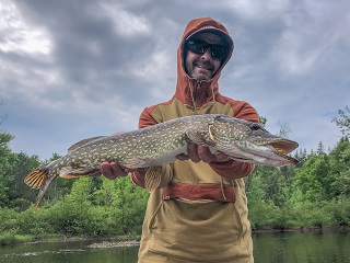 pike-currier