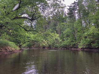 Wisconsin
