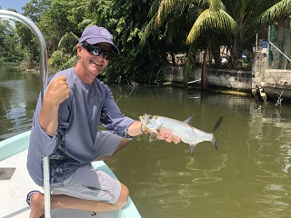 baby-tarpon
