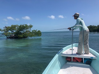 fly-fishing-Belize