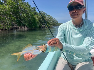 yellowtail-snapper