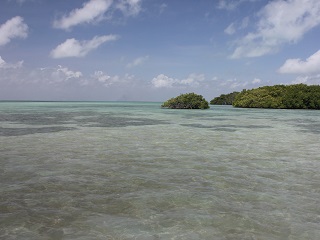 flats-fishing