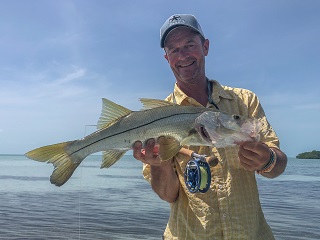 snook