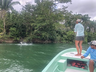flyfishing-for-tarpon