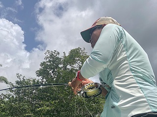 tarpon-fishing