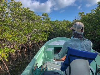 snook-fishing