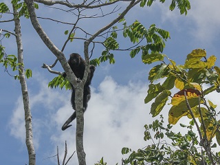 Belize
