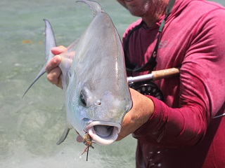 permit-on-fly