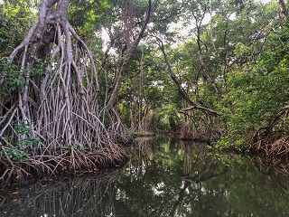 Belize
