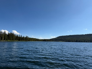 Lewis-Lake