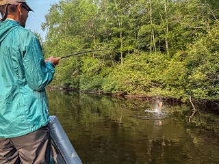 smallmouth-bass